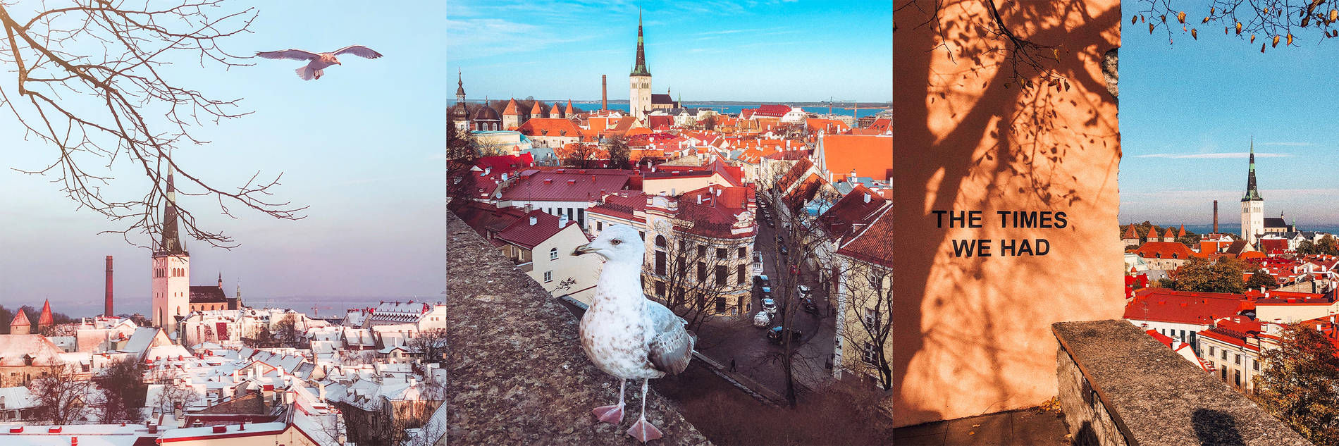 Kohtuotsa viewing platform in Tallinn, Estonia Photo: 