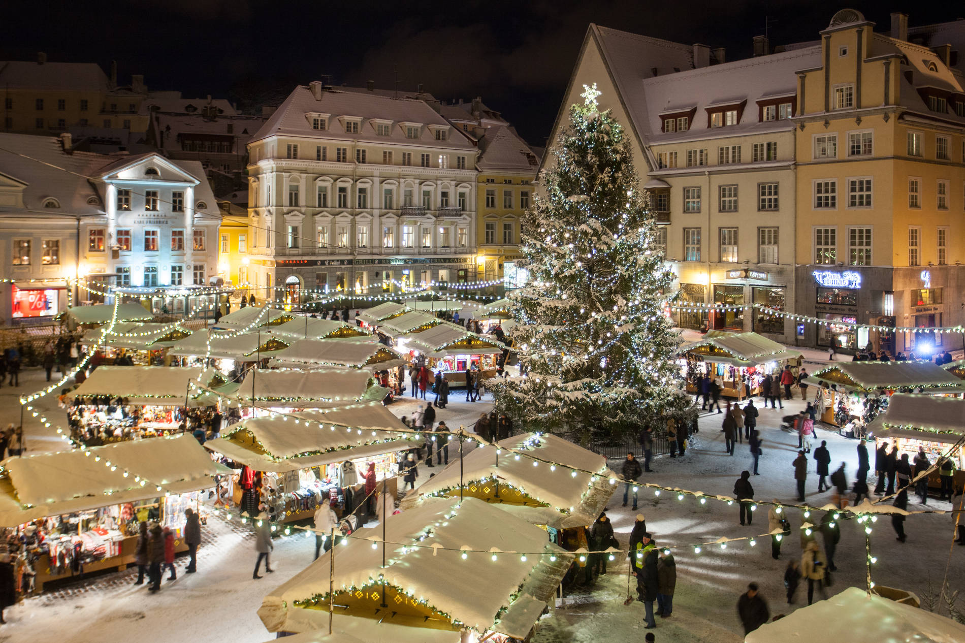 Top 5 Christmas Trees In Tallinn Visit Tallinn