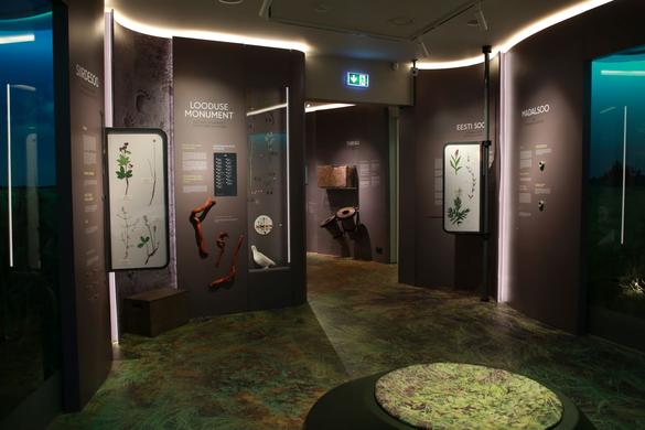 Interior view of the Estonian Museum of Natural History in the Old Town of Tallinn, Estonia.