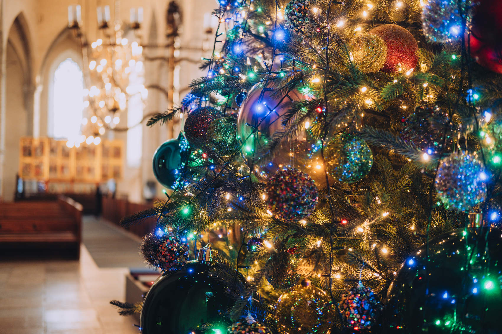Niguliste jõulupuu, taustal altar ja kiriku aknad. Foto: Kadi-Liis Koppel