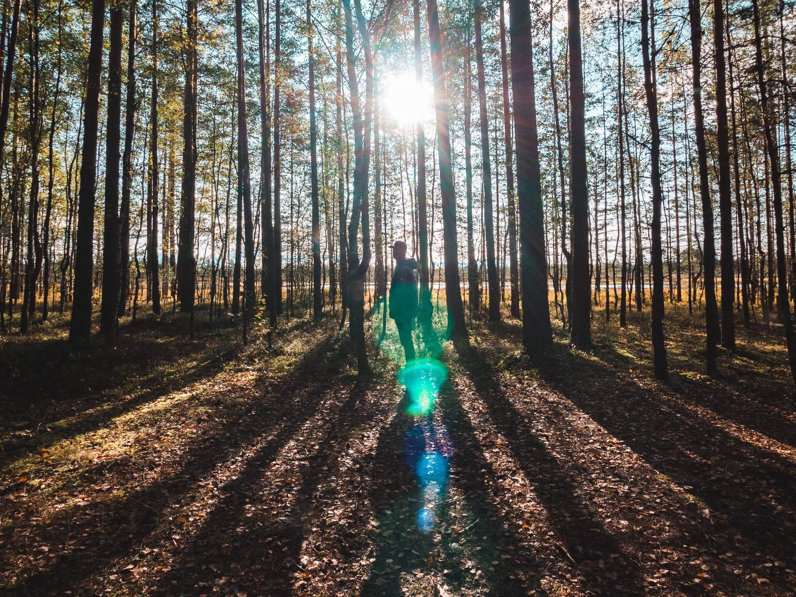 Молодой человек в лесу на острове в Эстонии Фотография: Mark Harrisson